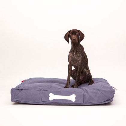 Accessoires canins