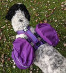Sac à dos canin