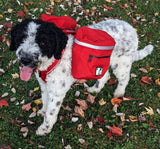 Sac à dos canin