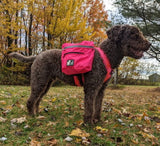 Sac à dos canin
