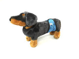 Bande de protection urinaire pour chien mâle
