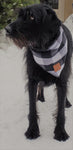 Foulard de Polar