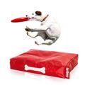 DoggieLounge par Fat Boy