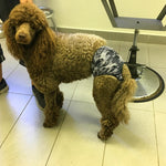 Culotte-couche pour chien femelle